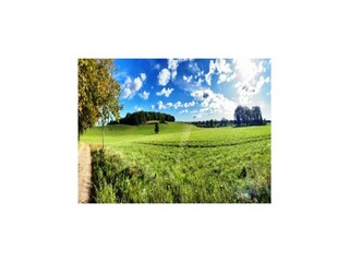 Appartement Gielow Environnement 12