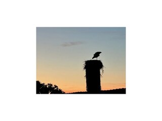 Apartamento Gielow  18