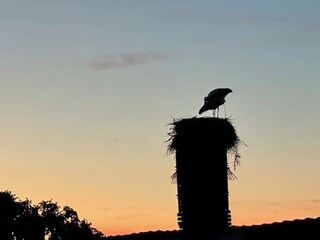 Apartment Gielow Umgebung 13