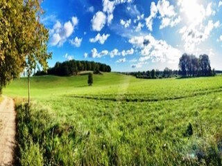 Apartment Gielow Environment 24