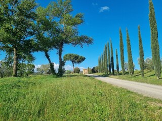 Vakantiehuis Montalcino Buitenaudio-opname 15