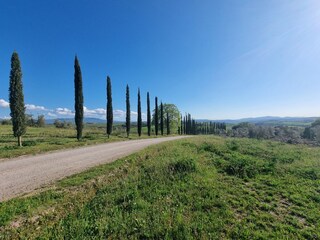 Ferienhaus Montalcino Außenaufnahme 17