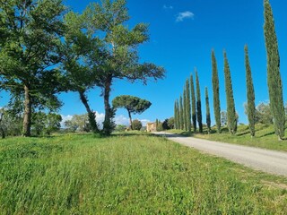 Vakantiehuis Montalcino Buitenaudio-opname 7