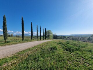 Vakantiehuis Montalcino Buitenaudio-opname 15