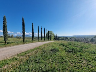 Vakantiehuis Montalcino Buitenaudio-opname 9