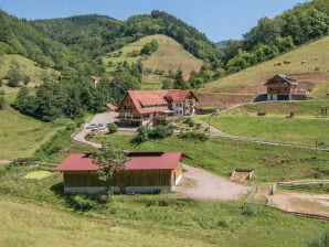 Bauernhof Springhansenhof "Wiesengrund" - Oppenau - image1