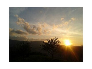 Bauernhof Oppenau Umgebung 12