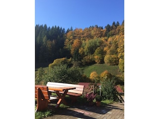 Bauernhof Oppenau Umgebung 13