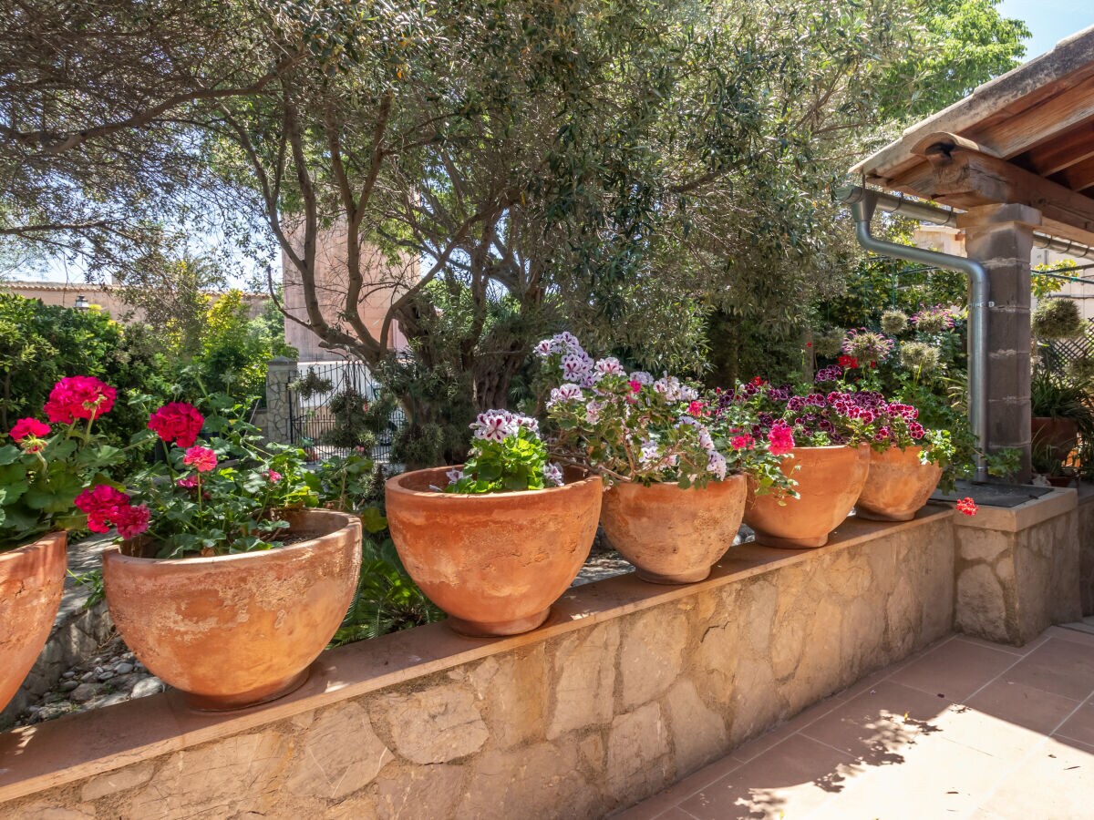 Ferienhaus Inca Außenaufnahme 6