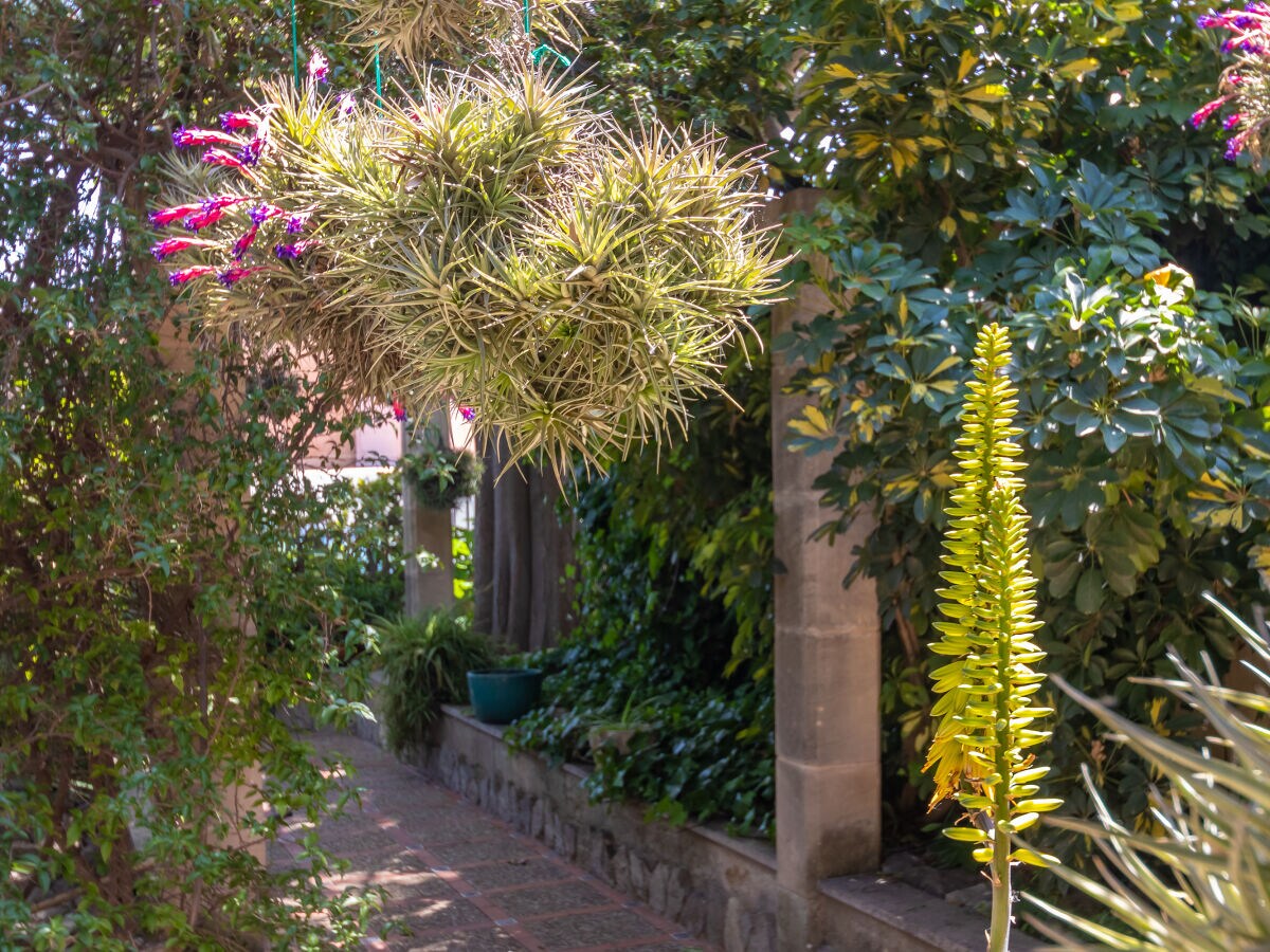 Ferienhaus Inca Außenaufnahme 10