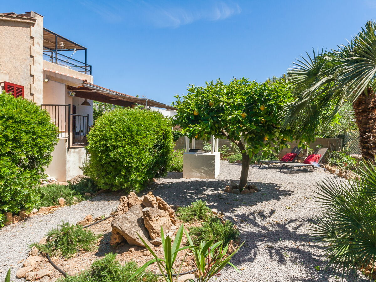 Ferienhaus Colonia de Sant Pere Außenaufnahme 5