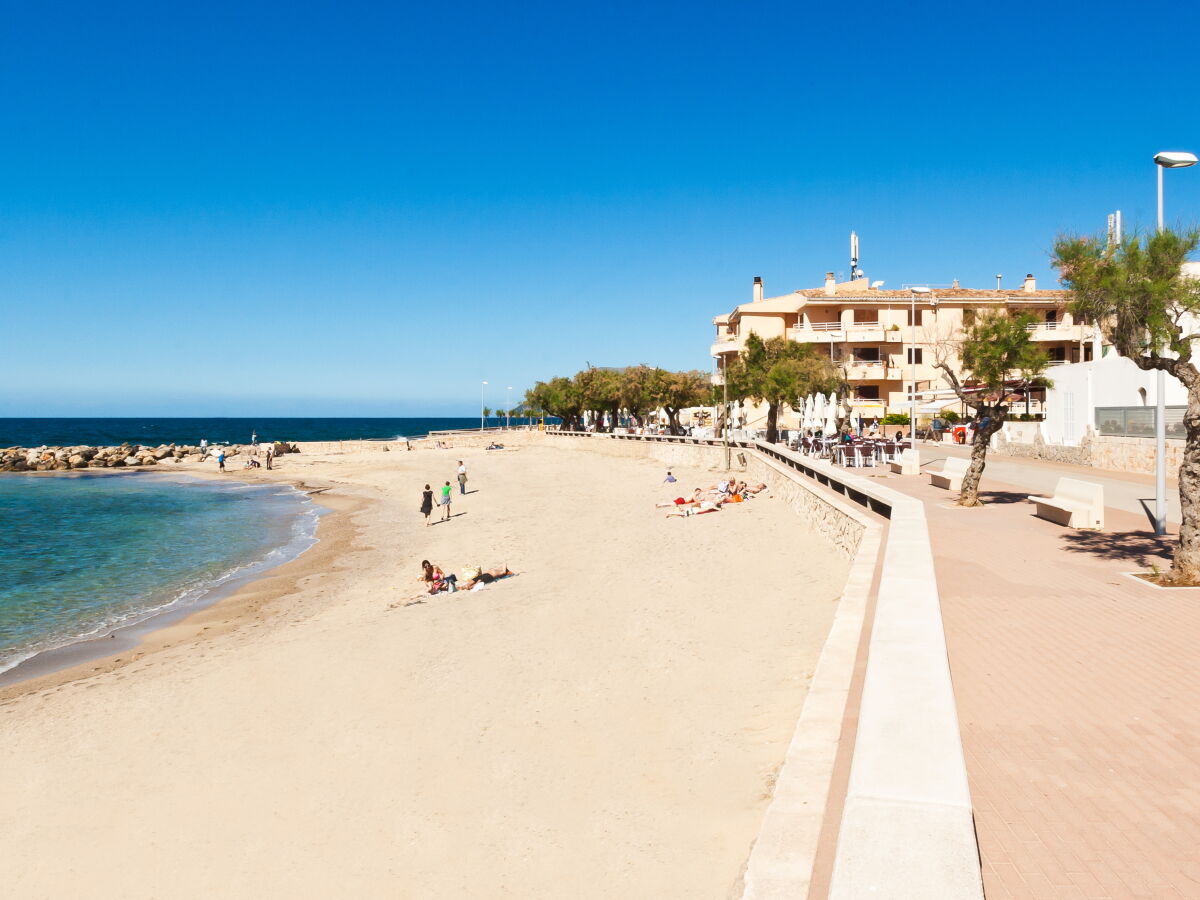 Ferienhaus Colonia de Sant Pere Umgebung 31