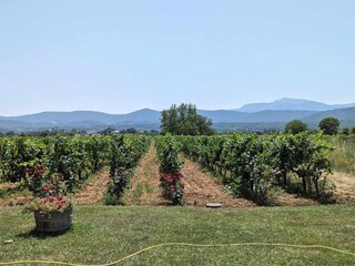 Casa per le vacanze Zmijavci Ambiente 40