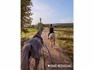 Casa per le vacanze Zmijavci Ambiente 42