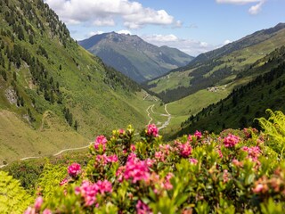 Maison de vacances Aschau im Zillertal Environnement 24