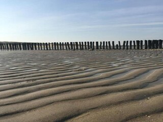 Vakantiehuis Koudekerke Omgeving 31