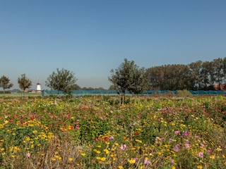Ferienhaus Koudekerke Umgebung 25