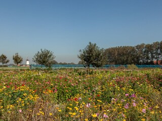 Ferienhaus Koudekerke Umgebung 24