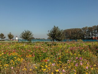 Vakantiehuis Koudekerke Omgeving 46