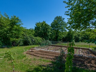 Der Garten und die üppige Natur