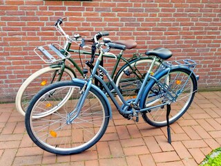 Casa per le vacanze Bad Bodenteich Registrazione all'aperto 13