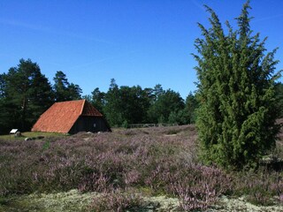 Casa per le vacanze Bad Bodenteich Ambiente 32