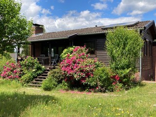 Casa per le vacanze Bad Bodenteich Registrazione all'aperto 1