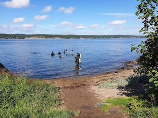 Holiday house Lysekil  16