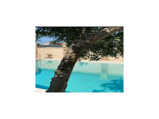 Villa Kaštel Stari  16