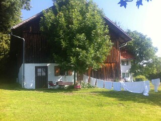 Barn and garden