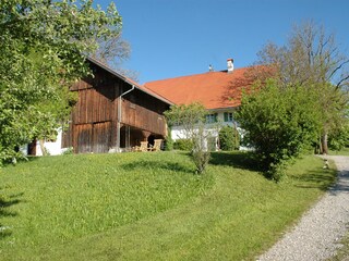 The Hanselhof at its best