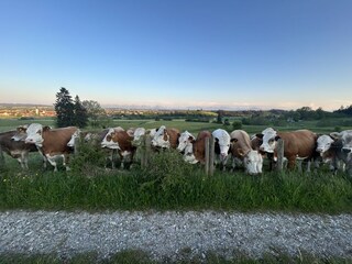 Holiday house Ruderatshofen Environment 39