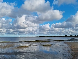 Vakantiehuis Kongsmark  6