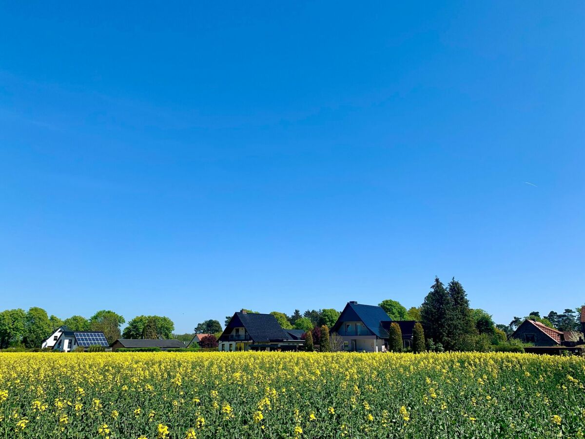 Casa per le vacanze Röbel Müritz Ambiente 1