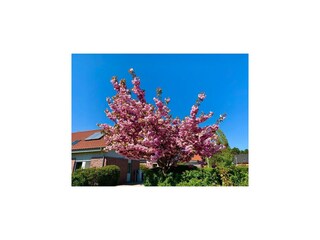 Casa per le vacanze Röbel Müritz Registrazione all'aperto 6