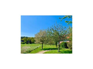 Vakantiehuis Röbel Müritz Buitenaudio-opname 4