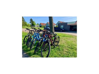 Vakantiehuis Röbel Müritz  29