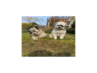 Ferienhaus Röbel Müritz  30