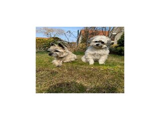 Vakantiehuis Röbel Müritz  30