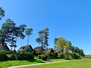 Ferienhaus Röbel Müritz Umgebung 21