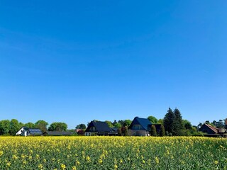 Casa per le vacanze Röbel Müritz Ambiente 20