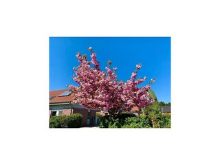 Vakantiehuis Röbel Müritz Buitenaudio-opname 6