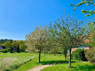 Casa per le vacanze Röbel Müritz Registrazione all'aperto 5