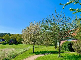 Casa per le vacanze Röbel Müritz Registrazione all'aperto 3