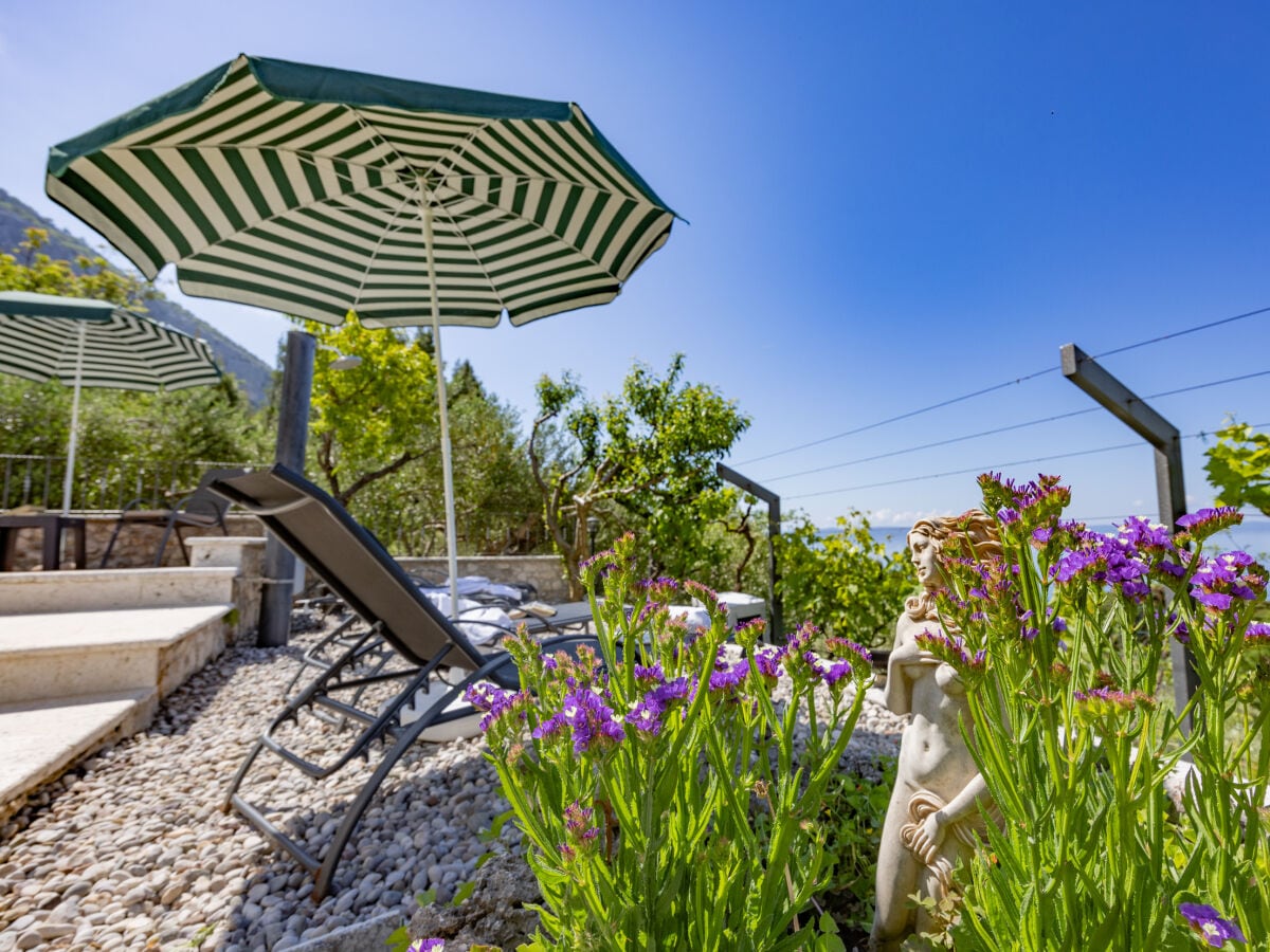 Terrasse am Pool mit Sonnenliegen und Meerblick