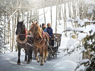 Vakantiehuis Maishofen Omgeving 14