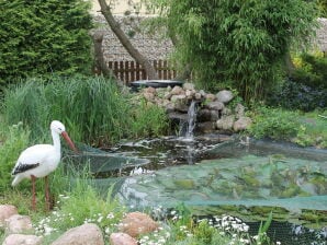 Ferienhaus Idyllische Ferienwohnung in Schwaan am See - Warnow bei Bützow - image1