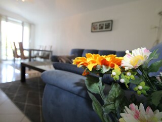 Vakantieappartement Nova Vas Kenmerken 3