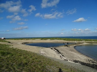 Maison de vacances Wissenkerke Environnement 35