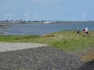 Maison de vacances Wissenkerke Environnement 38